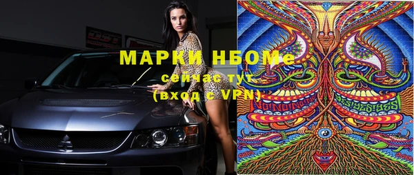 гашик Алексин