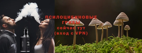 PSILOCYBIN Абаза