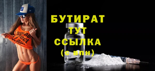 гашик Алексин