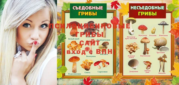 гашик Алексин
