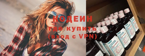 гашик Алексин