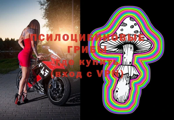 2c-b Абдулино