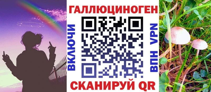 закладки  Чулым  Псилоцибиновые грибы Psilocybe 